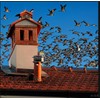 Ankuce Cone Top Chimney Cap, RoundChimney Cover Cap Outside Roof