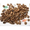Red Oak 150 Natural Red Oak Acorn caps. APPROX. SIZE