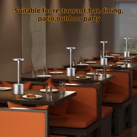 JALVDE Cordless Table Lamps Rechargeable - Outdoor Portable LED Table Light 5000mAh Battery Operated Lamp 3 Color Stepless Dimming with Memory Function for Restaurant Dining Patio 2Pack Silver