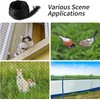 Caiyloxn Cat Net for Balcony, 6 x 3 m, Cat
