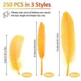 Neerow Feathers for Crafts, Pack of 250 Yellow Craft Feathers, Natural Feathers Craft for Dream Catchers, Earrings, DIY Crafts, Headdress Feathers, Wedding, Party Decoration (3 Styles)