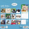 Carousel Calendars, Kittens 2026 Wall Calendar, 12'' X 12'', 16-Month