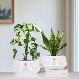 Meshpot 8 inch Plant Pots Indoor with Drainge and Good Airflow,Set of 1 Plastic Planters for Indoor and Outdoor Plants, Large Flower Pot with Air-Pruning for Potho,Snake Plants,Cacti,Orchids,Herbs