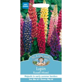 Mr Fothergill's 11554 Flower Seeds, Lupin Russell Mixed