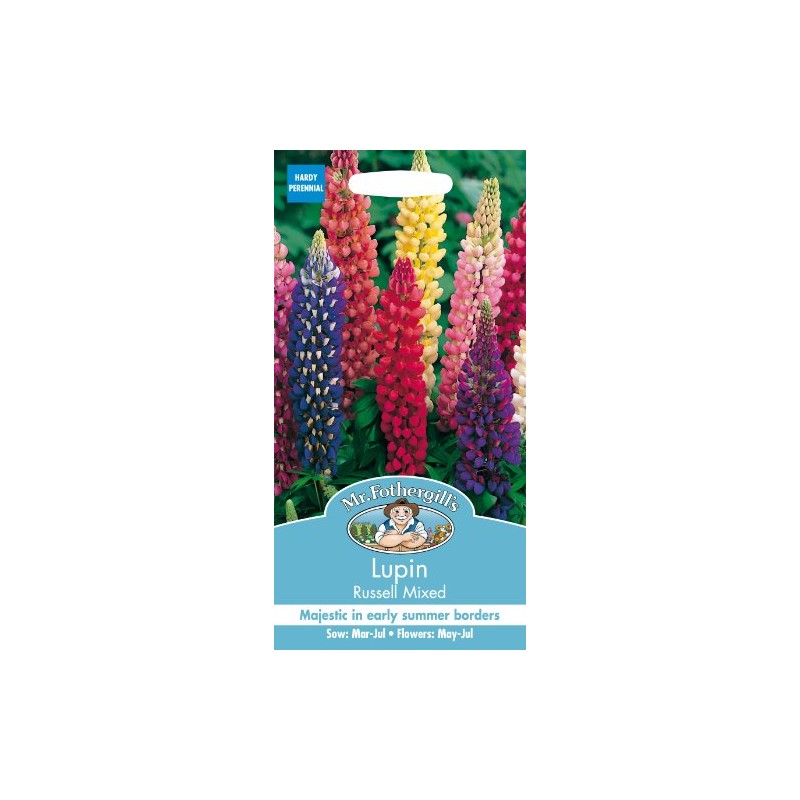 Mr Fothergill's 11554 Flower Seeds, Lupin Russell Mixed