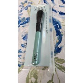 SENNA SET OF 4 SENNA - PRO MAKEUP BRUSHES - BRAND NEW IN CLEAR ZIPPER POUCHES, A STEAL