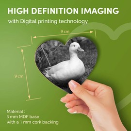 Destination Vinyl ltd Great Coasters (Set of 4) Heart - BW - White Call Duck Ducks Cute Drink Glossy Coasters/Tabletop Protection for Any Table Type #38227