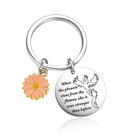 OWHOMS Phoenix Motivational Keychain Phoenix Encouragement Gift