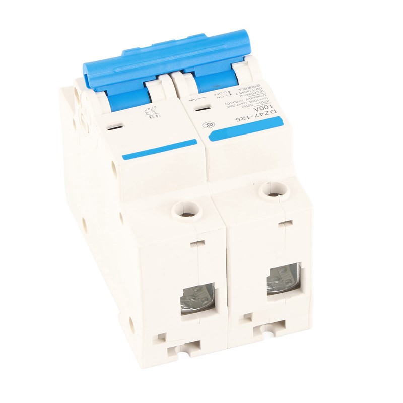 400V 80/100/125A Leakage Protection Switch DZ47‑125 2P​ Current Miniature Circuit