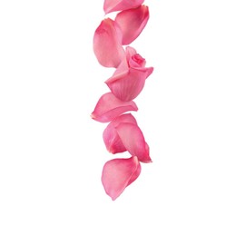 1883 Rose Syrup for Drinks, Made in France, 1 Liter Plastic Bottle