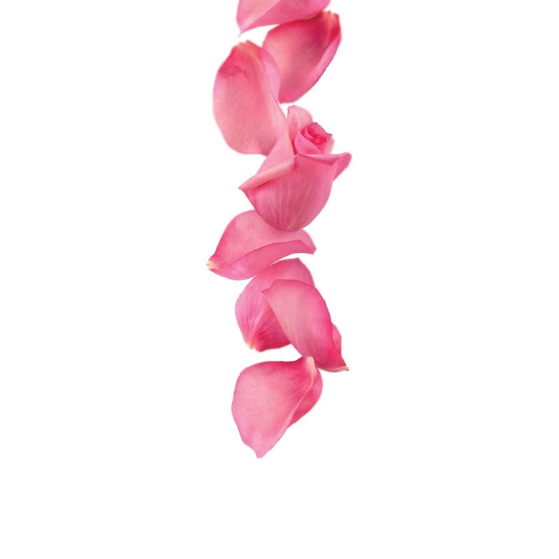 1883 Rose Syrup for Drinks, Made in France, 1 Liter