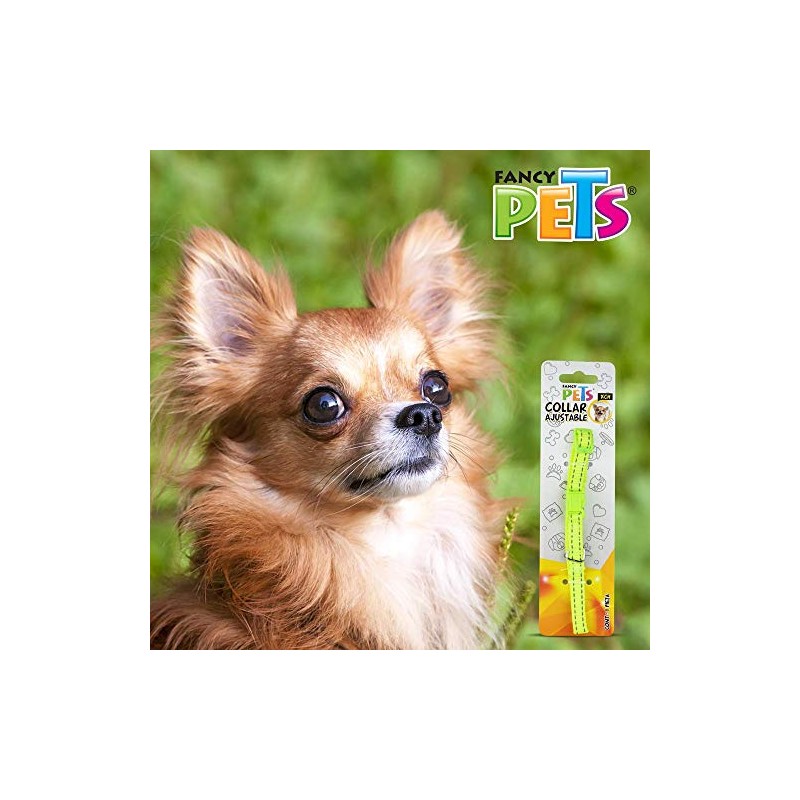 Fancy Pets Collar Extra Chico de Nylon con Bandas Reflejantes