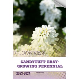 Candytuft Easy-Growing Perennial: Become flowers expert