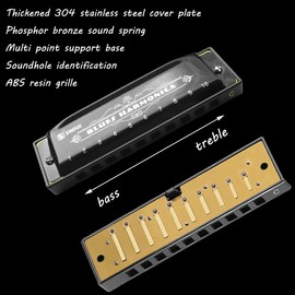 Blues Harmonica Mouthorgan 10 Holes Armonica Diatonic Harp Key of C Mouth Organ Metal Woodwind Music Instrument Gift