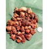 100% Pure Piñon Pine Tree Sap/Resin/Pitc - 8 oz. 1/2