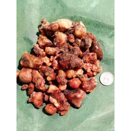 100% Pure Piñon Pine Tree Sap/Resin/Pitc - 8 oz. 1/2 lb.