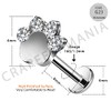 CM Crareesi Mania G23 Titanium Helix Stud Earrings 16G Tragus