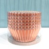 Huaswan Sweet Rose Gold Foil Cupcake Liners Standard Baking Cups