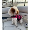 GabeFish Dog Life Jacket Vest Safety Clothes Collar Harness Saver