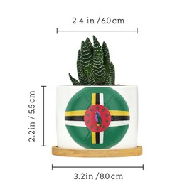 DecStic Soccer Dominica Flag Planter Ceramic Festival Flags Round Plant Pots with Drainage Holes and Bamboo Tray Pot for Succulents Cactus Garden Windowsill