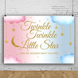 Canessioa Twinkle Twinkle Little Star Backdrop How We Wonder What You are Gender Reveal Background Boy or Girl Pink Blue Clouds Gold Glitter Stars and Moon Shower Party Studio Props 7x5ft