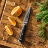 KYOKU Paring Knife - 3.5" - Shogun Series - Japanese