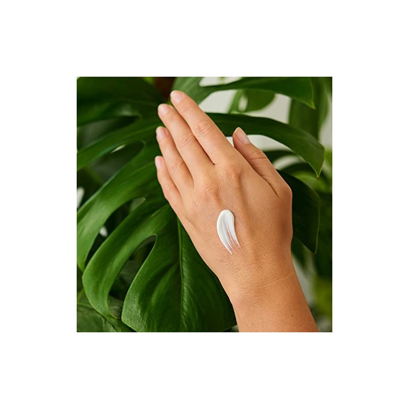Weleda Organic Pomegranate Regeneration Hand Cream (1 x 50 ml)