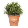 Sass & Belle Large Terracotta Planter with Heart