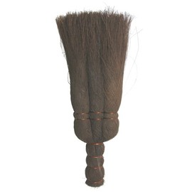 konparu Ceiling ho-kisupea Trachycarpus Palm