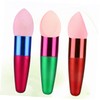 Beavorty Makeup Sponge Brush 3pcs Wet Dry Foundation Egg Puff