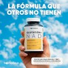 Antioxidante Glutatión NAD+ 180 Cápsulas con NAC y CoQ10 Homodeus