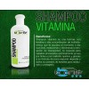 Kit Shampoo Vitamina 240ml Y Vitamina E 150g Labonte
