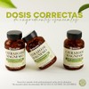 CITRATO DE MAGNESIO Solasta Cápsulas de 500mg de Fácil Absorción