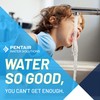Pentair OmniFilter Easy Flow US1 Under Sink Water Filtration System