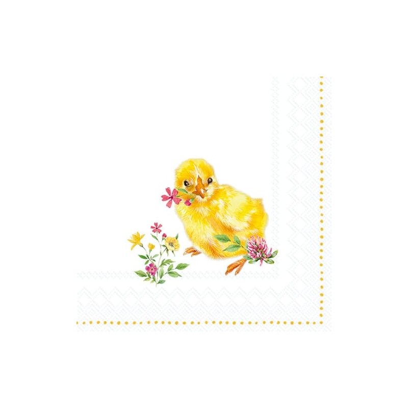 IHR Ideal Home Range Cocktail Napkins Disposable 3-Ply Paper Party