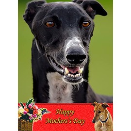 Greyhound Dog Mothers Day Card
