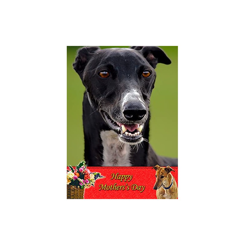 Greyhound Dog Mothers Day Card