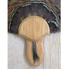 Taxidermists Woodshop The Medium Oak Turkey Mounting Kit with Beard