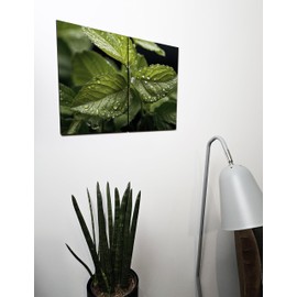 The Plum Penguin Abstract Lemon Balm Leaves Wall Art, 2-Piece A4 MDF Wood Set, Fresh Green Home Decor Canvas Alternative 40 x 30cm