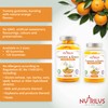 Turmeric and Ginger 60 Natural Orange Gummies - High Strength,