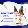 (3 Pack) Pineal 10x Drops – Daily Support Formula with