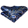 Hi-Tie Men Paisley Ascot Tie Silk Black Blue Cravat Handkerchief