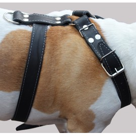 Black Genuine Leather Dog Harness, Large to XLarge. 35"-39" Chest, 1.5" Wide Straps, Great Dane Cane Corso