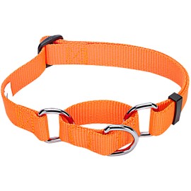 Blueberry Pet 19 Colors Safety Training Martingale Dog Collar, Florence Orange, Small, Heavy Duty Nylon Adjustable Collars for Dogs
