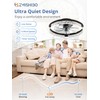 ZMISHIBO Ceiling Fans with Lights and Remote, 18 Inch Flush