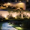 Lightonight Solar Light Outdoor Waterproof IP68, 56 LED 3 Color