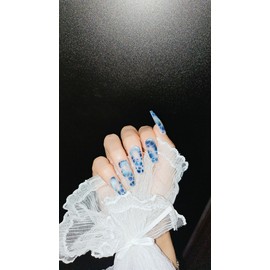 HELLO Blues Snake - Coffin (Main Tip) / HELLO블루스네이크 - 코핀(메인팁)