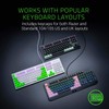 Razer Pbt - Kit de teclas para personalizacion de teclados