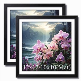 2 Pack Diamond Painting Wood Frames, Suitable for 12x12 in/30x30 cm Diamond Painting and Photo, Diamond Art Wood Frame With Mat, Diamond Painting Canvas Picture Wall Decoration (Black)