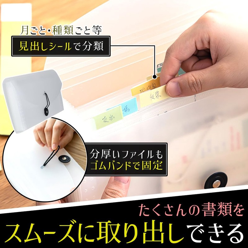 Accountant Supervised Receipt File, Document File, Receipt Holder, File Case,